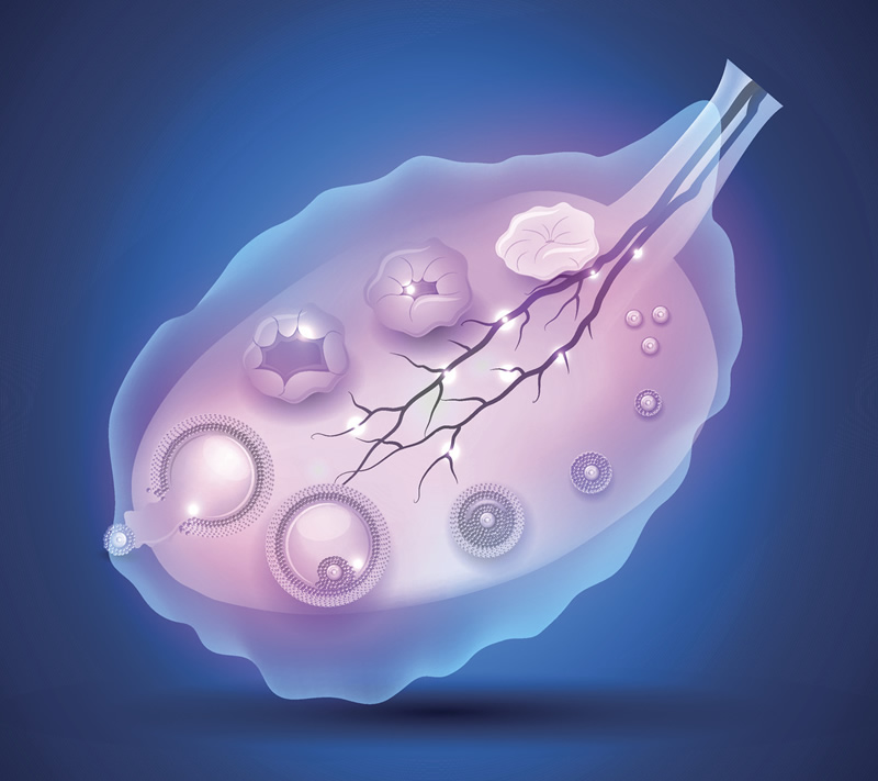 2026年长春高龄试管医院排名榜：吉大一院、吉大二院等生殖中心深度解析，附59岁女性试管成功关键点